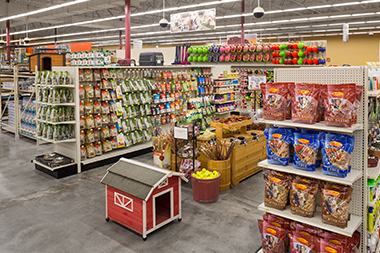 dog treats pet supplies near me store with toys and feed